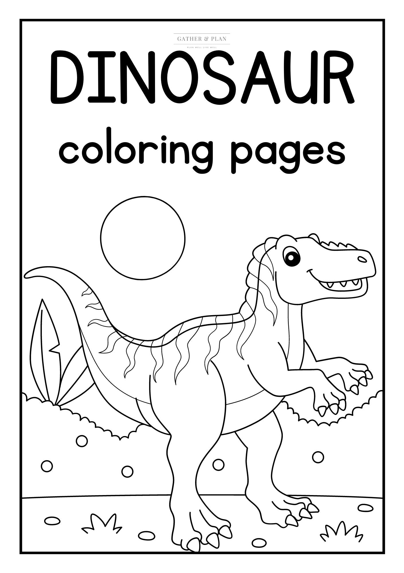 Dinosaurs Colouring Book