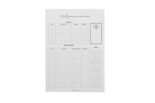 Monthly Savings & Debt Tracker